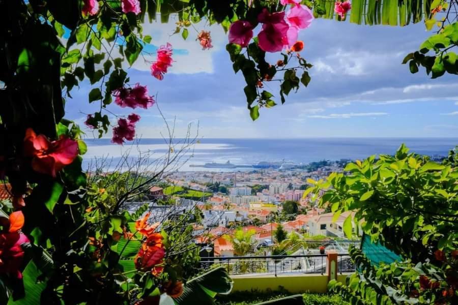 Вилла Granny'S House View Фуншал Экстерьер фото